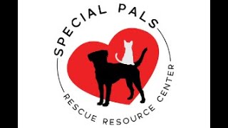 Preparing Your Pets for an Emergency
