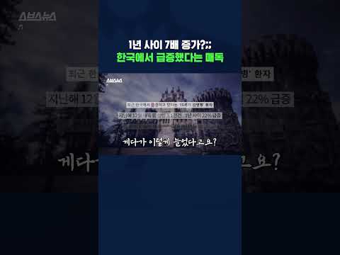 2030 매독 폭증이요?;; 갑자기 왜요? #매독 #shorts #스브스뉴스
