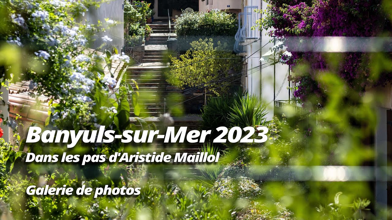 Banyuls-sur-Mer  / Dans les pas d'Aristide Maillol