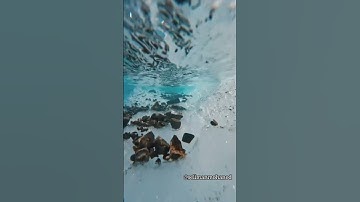 تلاوة رائعة #سورة_الروم #الروم #محمد_صديق_المنشاوي #المنشاوي #المنشاوي_الباكي #المنشاوي_قارئ_القلوب