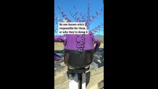 Mystery minion sculptures appearing around regional town