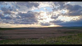 Green Wheat, Big Skies, and Red Tractors