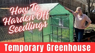 How To Harden Off Seedlings & Installing a Temporary Greenhouse  || Amazon Greenhouse