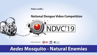 Ndvc-2019-Aedes-Natural Enemies