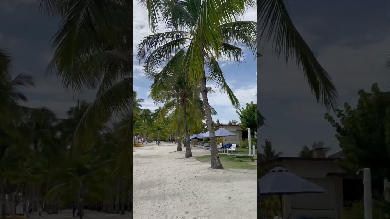 Bohol Beach Club In Panglao, Bohol 