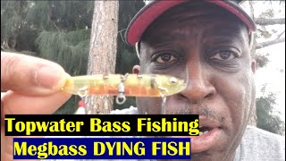 Topwater B Fishing Megab Dying Fish