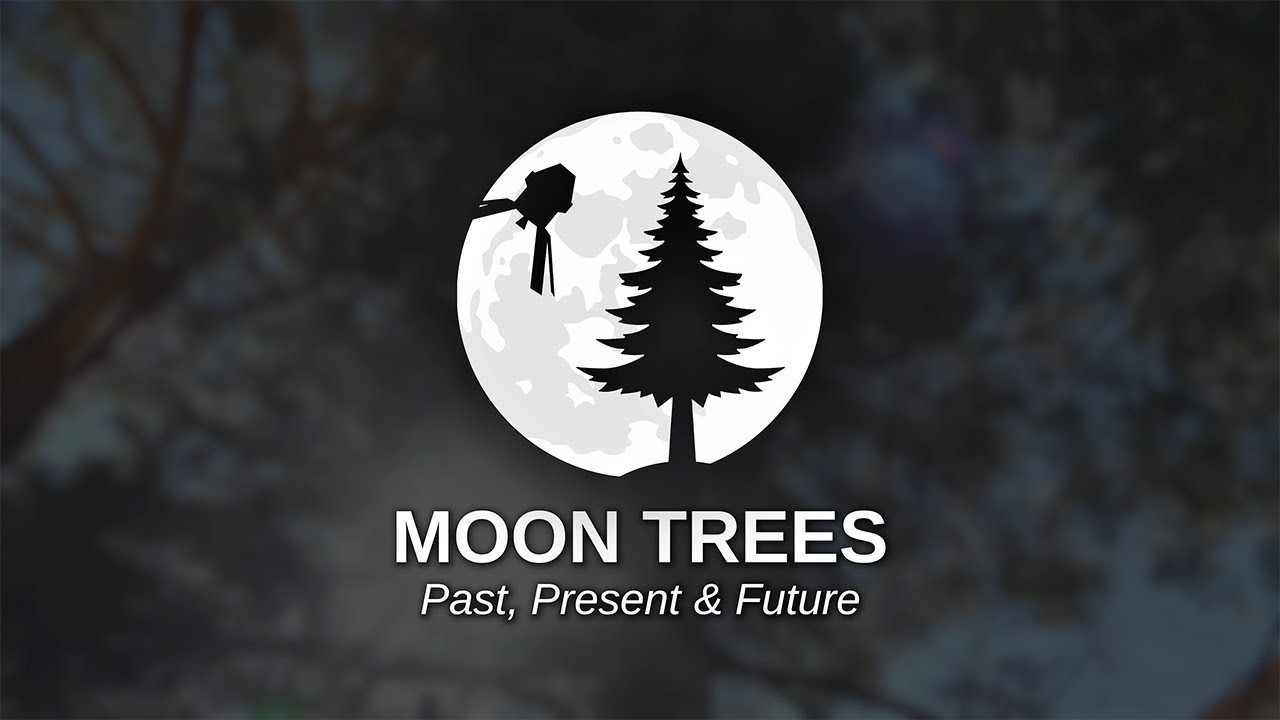 Moon Trees: Past, Present, & Future