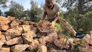 STARTING and FINISHING a RUSTIC DRY STONE WALL | #152