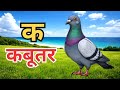 क से कबूतर 🕊️ | Hindi Varnamala | हिंदी वर्णमाला सीखें | Nursery Learning Video @Nanhabachpankidstv