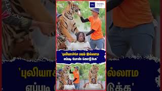 'புலியாச்சே பயம் இல்லாம எப்படி போஸ் கொடுக்க' #Thailand #AmericanTourist #Tourist #Tiger #Photoshot