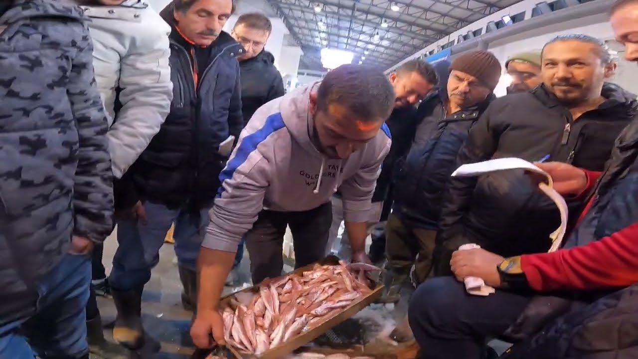 İzmir Buca Balık Hali (Çılgın Kabzımal Ömer)Kasa Balık Mezatı
