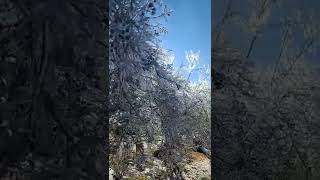 Freezing Rain  Dangerous Aftermath