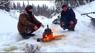 Таёжная Речушка Удивила!!! Глубина 10 См, А Водится Такая Рыба!!! Рыбалка. Тайга.