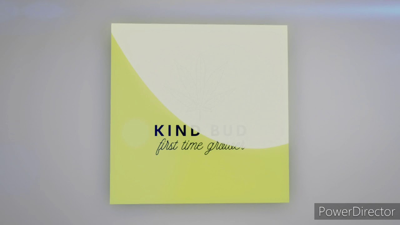 Official start of week 5 autoflower grow