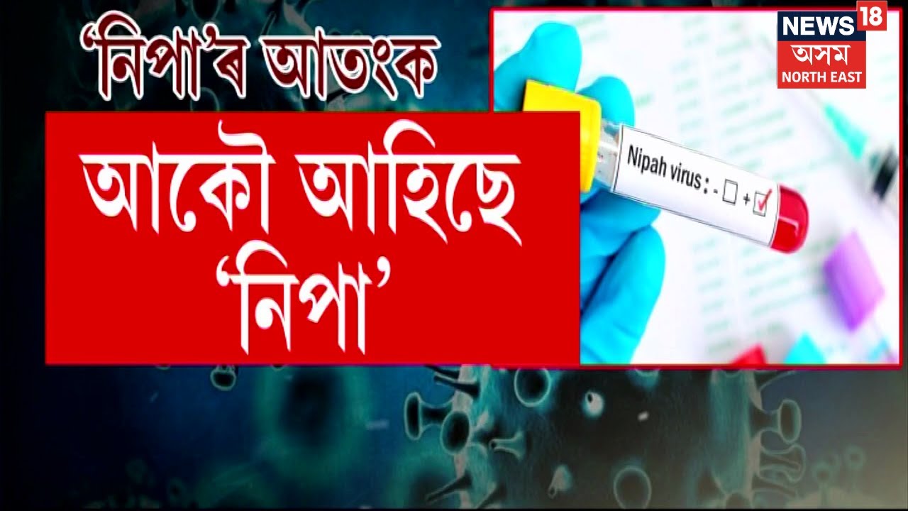 Nipah Virus Terror in Kerala : নিপা ভাইৰাছৰ আতংকই ছানি ধৰিছে কেৰালাক । N18V