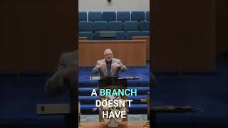 Jesus's Vine Metaphor: Effortless Fruitful Living Explained #shorts