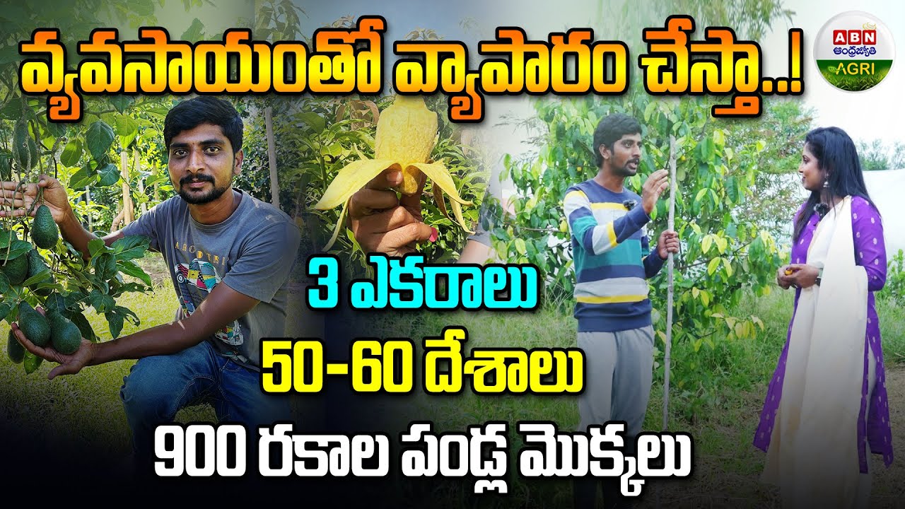 ఇప్పటి వరకూ చూడని పండ్ల మొక్కలు ఎన్నో..! | Rare Exotic Fruit Plants - ABN Agri #shorts