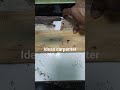 carpenter ideas #woodworking #bengkelkayu #woodscraft #carpentertrick #woodworkingideas #fyp