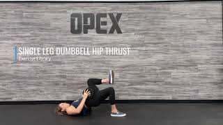Single Leg Dumbbell Hip Thrust