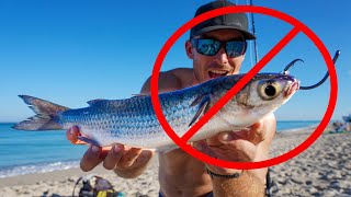 Stop Uneducated Shark Fishing