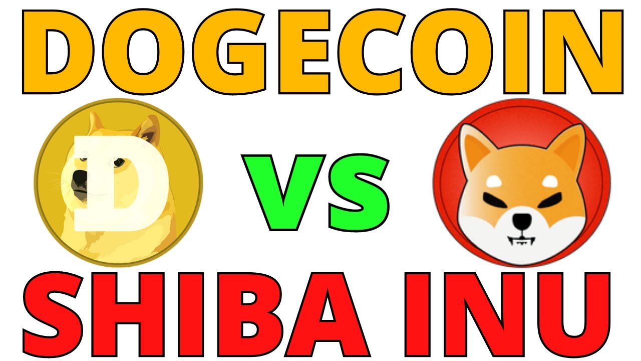 DOGECOIN vs. SHIBA INU - Which is BEST? SHIB the Next DOGE?! - YouTube