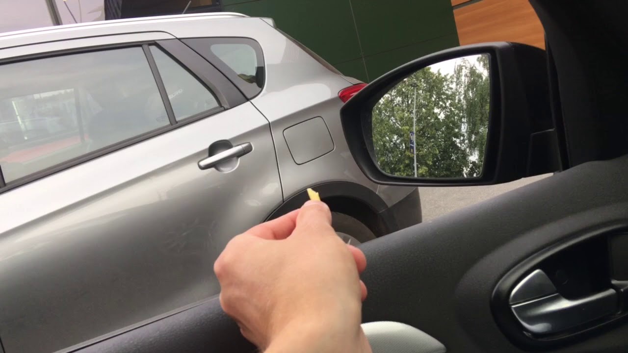 Воробей залетел в машину