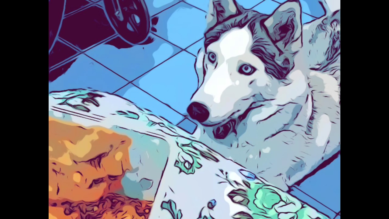 New Clips App on Iphone 7 Plus