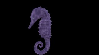 Blender Tutorial: Seahorse and Animation screenshot 4