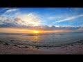 Honeymoon Island Beach | Honeymoon Island State Park 4K UHD