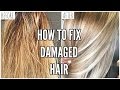 How To Fix EXTREMELY Damaged Hair At Home