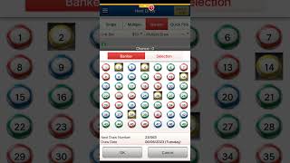 香港馬會   六合彩   需要購買的彩票   063  2023  Hong Kong Jockey Club   Mark Six   lottery ticket     063   2023