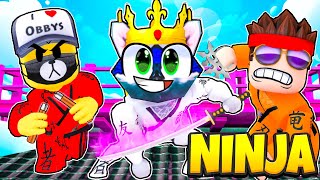 CHODÍM do TAJNÉ *NINJA ŠKOLY* v ROBLOXU!! 🥷😮