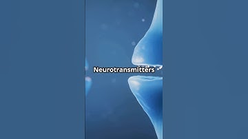 Unlocking the Secrets of Neurotransmitters