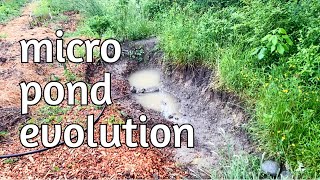 Water Resilience!  Micro ponds, holding basins, silt traps and more...