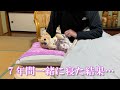 7年間一緒の布団で寝てきた愛犬がこうなりました…
