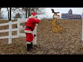 🎄MERRY☃️MUSIC🔔FEEDBACK🎅WITH🍪COOKIES🥃BOURBON &amp;🗣️🎁TALKBOX