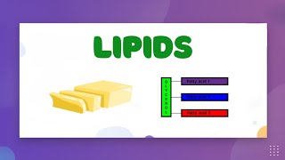 Lipids Learnstalk Biology