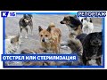 Отстрел или стерилизация