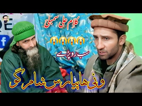 Wein Ha Pyars Shaam Gow😭❣️ || Ali Sumbli || singer farooq ah bhat || Hit Sufi Song