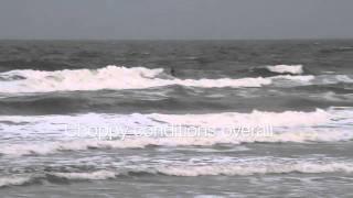 SS's Monday Morn and Nite Surf Report