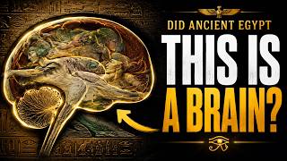 Did Ancient Egypt Encode Biology Into Art?
