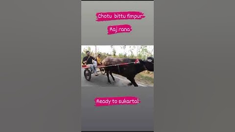 Vikash choudhary and bittu choudhary muzaffarnaghar