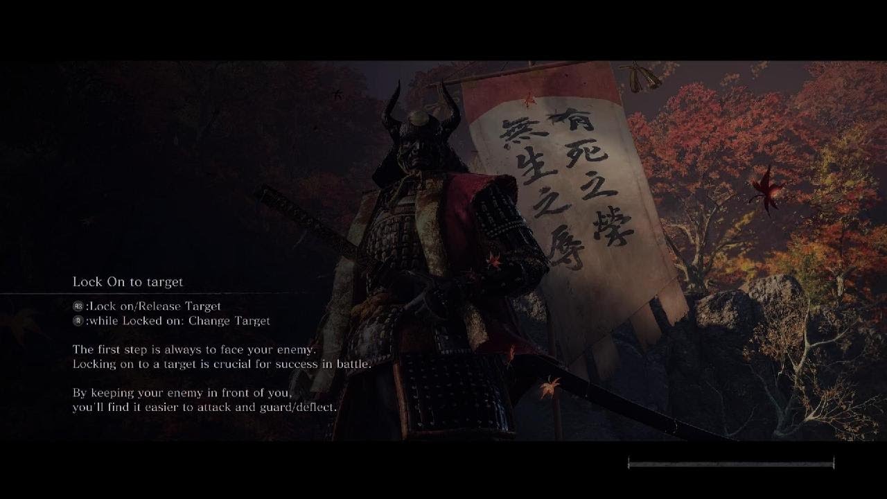 Sekiro: two ninjas