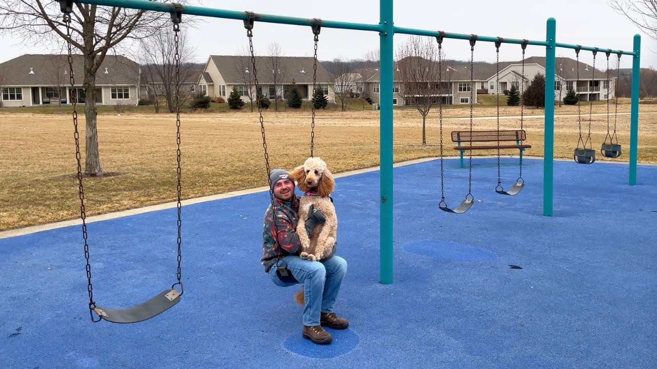 POV Walking My Standard Poodle | Jungle Gym Fun | Episode 3