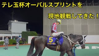 2025オーバルスプリント結果は!?浦和競馬場の馬主席から現地観戦するも馬券はハズレ