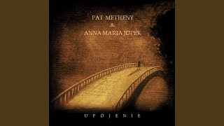Video thumbnail of "Pat Metheny - Tam, Gdzie Nie Siega Wzrok (Follow Me)"