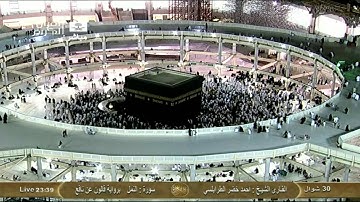 سورة النمل برواية قالون عن نافع :: أحمد الطرابلسي Saudi Quran HD