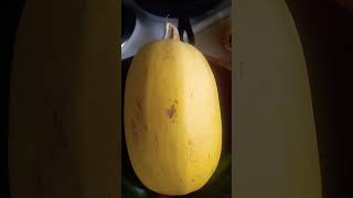 Everything is a Zucchini #history #food