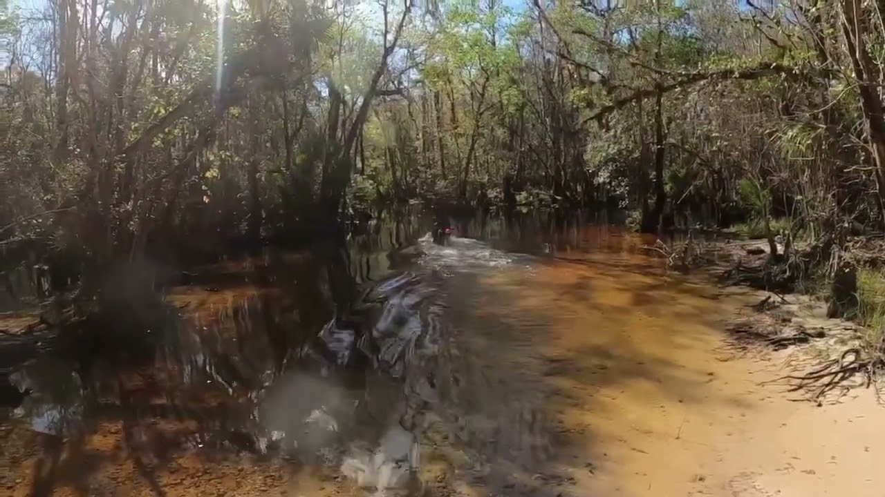 Exploring Bull creek Florida trails fast ride