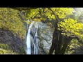 鈴ヶ滝 Suzugataki Falls～日本の滝百選･高さ水量景観の揃った名瀑【日本の滝 新潟 朝日連峰 三面川 Japanese waterfall Niigata Miomote River】